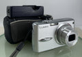 Panasonic Lumix DMC-FX01 6mp Digital Camera SILVER +CHARGER +COVER TESTED - 3200