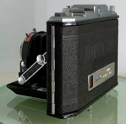 Vintage Apollo 120 WESTER Anastigmat 1:3.5 F=7.5cm Folding Camera + Case - 3175